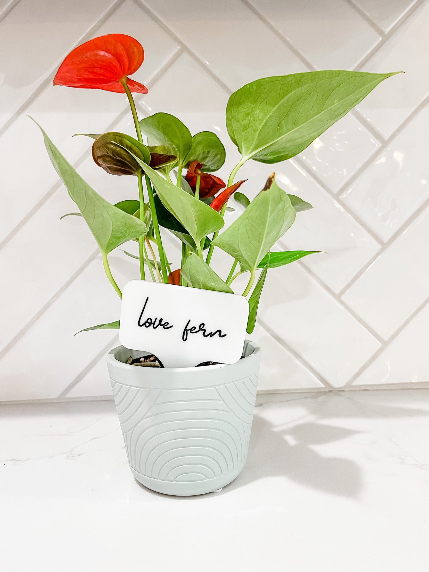 LOVE FERN - Acrylic Plant Stake