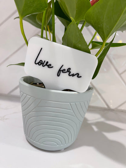 LOVE FERN - Acrylic Plant Stake